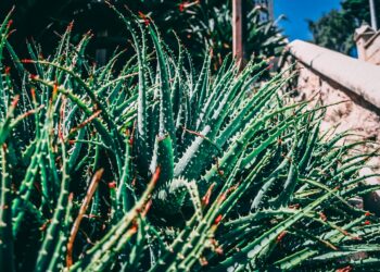 The Fundamentals of Clean Beauty: What They Are and Why They Are Important